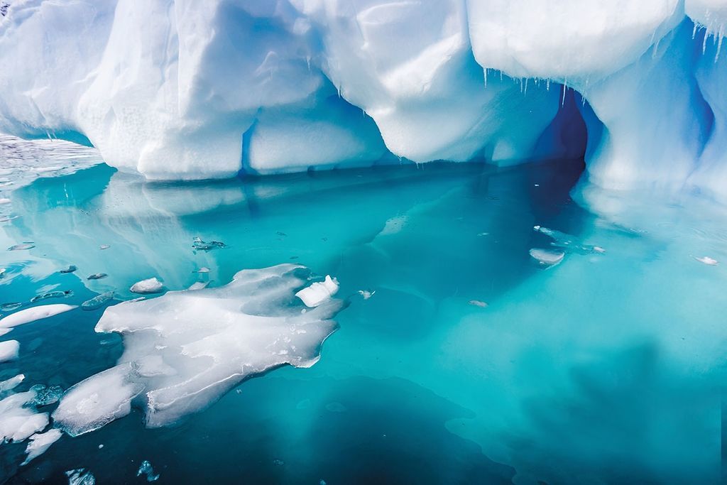 اكتشاف خطير و محزن للمرة الأولى في ثلوج القطب الجنوبي