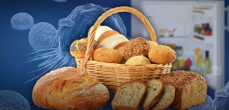هل حقا وضع الخبز في الثلاجة يسبب السرطان ؟