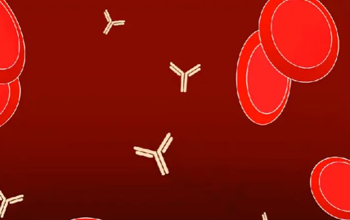 خلايا دم مُعدلة توفر مضادات حيوية لقتل البكتيريا الخطرة
